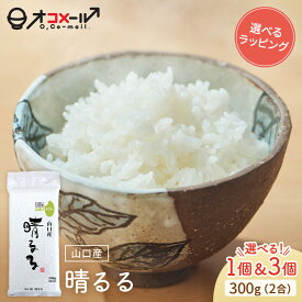 令和7年産(2025年) 山口産 晴るる 300g(2合) ×1個/3個 l 真空個 山口県 国産 お米 白米 オコメール ギフト プレゼント 送料無料