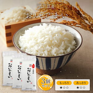 V ߘa7NY(2025N) Y ł܂ 300g(2) × 3pbN l ^pbN 쌧 Y   IR[ Mtg v[g 