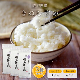 令和6年産(2024年) 島根産 きぬむすめ 300g(2合) × 3パック l 真空パック 島根産 国産 お米 白米 オコメール ギフト プレゼント 送料無料