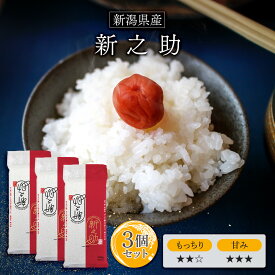 令和6年(2024年) 新潟産 新之助 300g(2合) × 3パック l 真空パック 新潟県 国産 お米 白米 オコメール ギフト プレゼント 送料無料