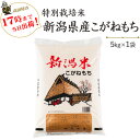 令和7年産　特別栽培米〔もち米〕新潟産こがねもち5kg【送料無料】(一部地域を除く)