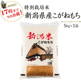 令和5年産　特別栽培米〔もち米〕新潟産こがねもち5kg【送料無料】(一部地域を除く)