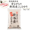 令和5年産　お米 5kg×1袋　　白米　特別栽培米　昔ながらの新潟産こしひかり 送料無料(一部地域を除く)あす楽対応産…