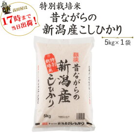 令和5年産　お米 5kg×1袋　　白米　特別栽培米　昔ながらの新潟産こしひかり 送料無料(一部地域を除く)あす楽対応産地直送！