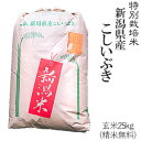 令和元年産特別栽培米新潟産こしいぶき玄米25kg/白米4.5kg×5袋(精米無料)送料無料※一部地域を除く【あす楽対応_本州】【あす楽対応_関東】【あす楽対応_...