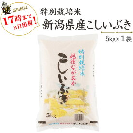 令和5年産　白米特別栽培米新潟県産こしいぶき5kg【送料無料】(一部地域を除く)≪高田屋お買い得企画≫【あす楽対応_本州】