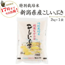 令和5年産　特別栽培米新潟県産こしいぶき2kg送料無料(一部地域を除く)【あす楽対応_本州】【あす楽対応_関東】【あす楽対応_四国】