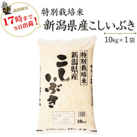令和5年産　白米特別栽培米新潟県産こしいぶき10kg×1袋【送料無料】(一部地域を除く)【あす楽対応_本州】