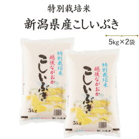 【数量限定】令和6年産 白米 特別栽培米 新潟県産こしいぶき 5kg×2袋【送料無料】(一部地域を除く)