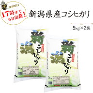 新潟産 コシヒカリ 10kg 白米 お米 令和7年産 5kg×2 送料無料(一部地域を除く) あす楽対応 こしひかり