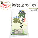 令和6年産　白米　10kg　新潟県産コシヒカリ5kg×2袋【送料無料】(一部地域を除く)【あす楽対応】