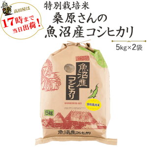 新米 令和2年産特A評価特別栽培米桑原さんの魚沼産コシヒカリ5kg×2袋【送料無料】(一部地域を除く)【あす楽対応_本州】【あす楽対応_関東】【あす楽対応_四国】