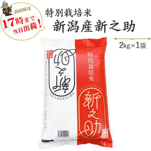 令和7年産 新米 【白米2kg】 安心・安全【特別栽培米】新潟産「新之助」2kg ※送料別途【あす楽対応】