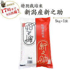 令和5年産 安心・安全【特別栽培米】新潟産「新之助」5kg　≪高田屋お買い得企画≫※送料無料(一部地域を除く)【あす楽対応_本州】