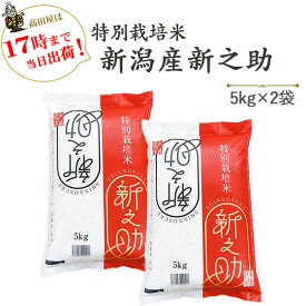 令和7年産　 安心・安全【特別栽培米】新潟産「新之助」5kg×2袋　※送料無料(一部地域を除く)