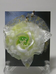 n RT[Ww1tH[} Ǝ  w Cxg p[eB[