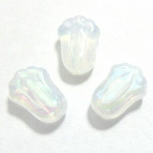 `FRr[Y * `[bv *12×8mm* X^[ ACX ~L[zCg *12 `FR r[Y p[c KXr[Y t[  t[r[Y sAX ޗ f F Ip[