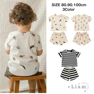 xr[ ZbgAbv ̎q j̎q t       pW} [EFA xr[  q LbY  Vv  ĕ t ۈ ۈ牀 ct JWA