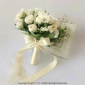 sN/zCgyu[PzEFfBOu[P/ԃu[P/uC_u[P/Ehu[P/gXu[P//ԑya22cmA25cmz