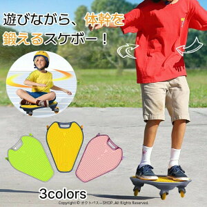 EO{[h XP[g{[h XP{[ LbYXP{[ q LbY S l 3 Xg[g X|[c Op^ 蕨  fbL ̂b ^sP