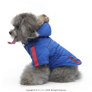  H~ p n[lX̌^ ֕t _EWPbg h EFA  tN^[t WbvAbv [hڑ |GXe bh u[ J[L