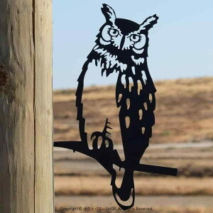 u tNE Op XeX ^A[g yCgdグ K[fI[ig Jg[X^C z[fR[V  H|i őϋvOi