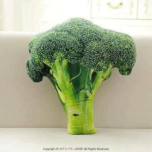 ubR[ Aʕ ʂ  NbV  ӂӂ  Q HX G nI D a Mtg v[g NX}X 蕨 (45cm ub