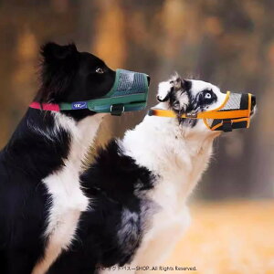   ʖi ݂ EH h~ }Y  ybgpi }XN ^ ^ ^ O[ IW