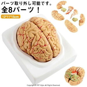 W wK \ ׋ w S8p[cO\  ] ]f f ]݂ ͌^ ] wK ]͌^ U dg l̖͌^ fʐ} } t w _ow eXg ]U͌^