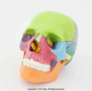 ���W�� ���W���͌^ �[�� �͌^ �{�֐� ���͌^ ���i �����\�{�֐߂��Č� 15�ɕ����\ �e���ʔz�F ���Ȏ��@�Ȋ�ȓ���