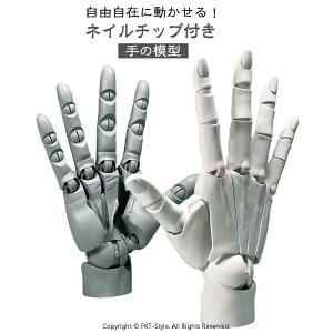 ȂX^ht nhf lC`bvt 1/1  E R L  oCIjbNw֐ Aj fbTpf̔p tBMA zCg O[ XLJ[ f nh 