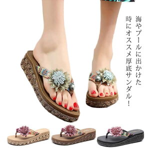 ɂȂ r[`T_ h ԃ`[t s fB[XV[Y y gOT_ ̎q W[p ₷  킢 ~ r r[` C ʐ^Be ][g 