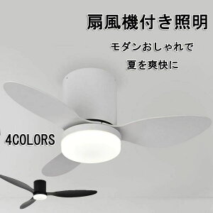 V[Ot@Cg dc[^[ V[OCg  T[L[^[ F Rt Ɩ led V[Ot@ APPΉt@Cg @ F Rt 