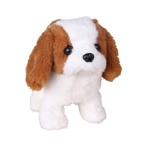 dybg ʂ 񂿂   A  drd /i/h pr Mtg qւ̃v[g ʂ oY  a nEB[ N