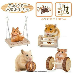 7Zbg nX^[  ؐ Y  ފߋ V Vя ETM   {[ uR nEX  VR S ^s XgX ETM  pi yb