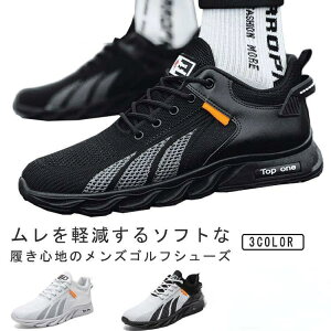  y ɂ  Ȃ 傫TCY ₷ StV[Y V[Y amC Xj[J[ bV ʋC