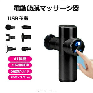 2025 i ؖ[X d nfB}bT[W[ ؖ[X }bT[WK USB[d d}bT[W 30iK߉\ 6ރwbh ͐U y    w ؓɂ  