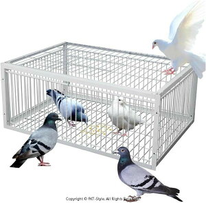 ߊl Гt Eoh~݌v O  ߂   |[^u 4 A SP[W RN^[ ɊQ͂܂ 悯 gݗĊȒP   ƒ؉ _