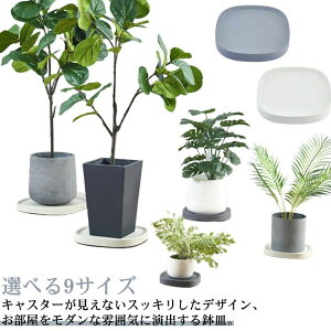 BLX^[tM  LX^[t  M M 󂯎M gC g[ v[g A v^[ ϗtA A Aؔ X^h t[x[X RRt LX^