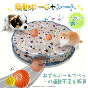 y]EEI@\˂݃{[ŃybgzL  d˂݃{[ Lp{[ lV d L炵 ˂ Ꭹ] Lpi ybgpi 邮 