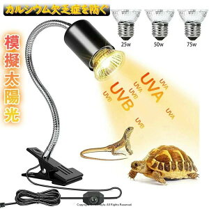 uUɕKvȌAЂƂŁBvy3dtzޗpCg ঒ރCg TCg UVA+UVB  q[^[ iK 25+50+75W AiOz MсEM oXLOCg 