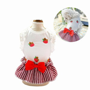 y[Ez̕ s[X `FbÑXJ[g ybgEGA t L~s m  o U Ăh~  ĕ LbgEFA L L ˂ lR qL 