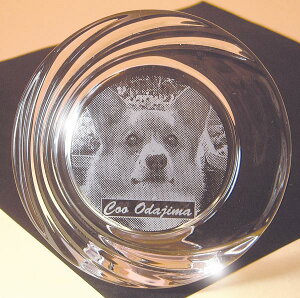 ybg̎ʐ^C^ANX^tHgt[ی^.ybg.M.p,Mtg,NX}XyRCPz