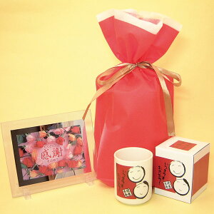 送料無料、名入れ無し健康長寿 湯呑み1個(箱入り)と感謝のメッセージボード(たくさんの感謝を込めて)のセット、ギフト用巾着袋入り、敬老の日用湯呑み、感謝のメッセージ付き湯呑み、健