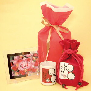 送料無料、名入れ無し健康長寿 湯呑み1個(箱入り)と感謝のメッセージボード(たくさんの感謝を込めて)のセット、ギフト用巾着袋入り、敬老の日用湯呑み、感謝のメッセージ付き湯呑み、健