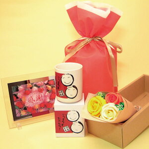 名入れ無し健康長寿 湯呑み1個(箱入り)と感謝のメッセージ入りボード(たくさんの感謝を込めて)とソープフラワー(オレンジ)のセットがギフト用巾着袋入り、敬老の日用湯呑み、感謝のメッ