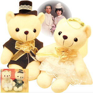 結婚パーティ・披露宴の演出にウェディングベア、ウエルカムベア、洋装テディベア(全長25cm)クリアーケース仕様、ギフト用の巾着袋入り、結婚祝いに、披露宴に、送料無料(沖縄・離島は除