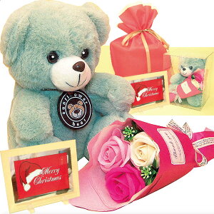 }JxA(~g)ƃo̍ԑ(\[vt[)ƃbZ[W{[h([NX}X)̃ZbgAMtgpNAP[XAv[gpВܓA(E͏