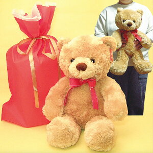 G蔲QIlC AURORAj[tbtB[xA(MTCY)v[gp̋ВܓAƁEwjAzCgf[Eo^CɁANX}XAav[gAjAL