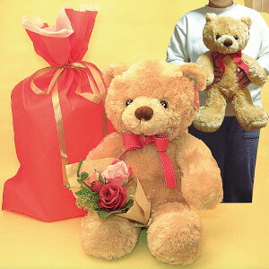 G蔲QIlC AURORAj[tbtB[xA(MTCY)Ɖԑ(A)ZbgAv[gp̋ВܓA(E͏)ƁEwjAzCgf[Eo^CɁAN